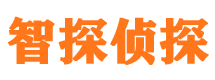 迎泽市私家侦探